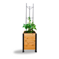 Vegetable Cage