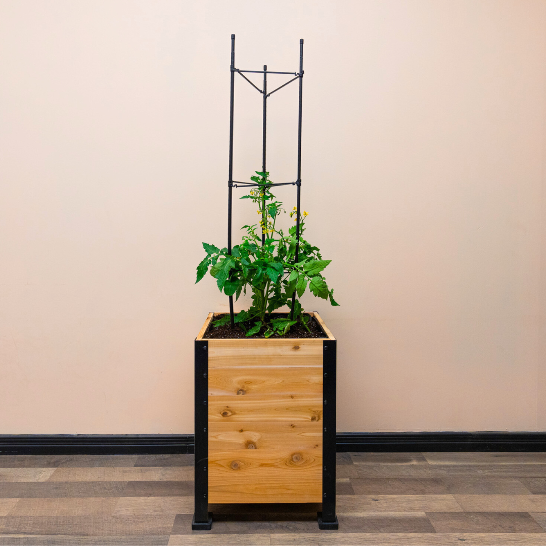 Vegetable Cage