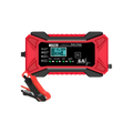 Smart 12V Battery Revive Charger